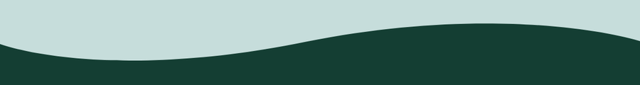 EXPLORE CAREERS  eDM thin banners and dividers (14)